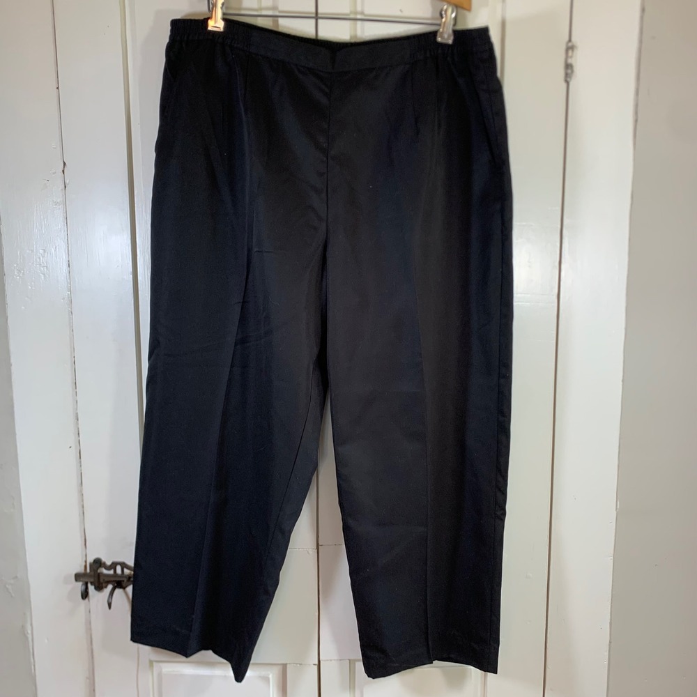 Appleseeds Womens Black Pull On Cropped Pants Plus 20W Elastic Waist A12662